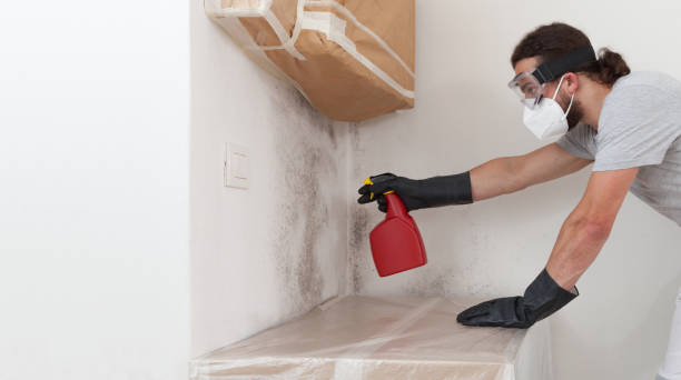 Professional Mold Removal technician working in Cross Fork, PA